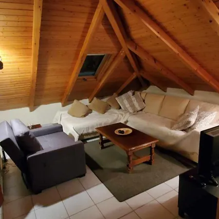 The Wooden Nest Apartment Arachova