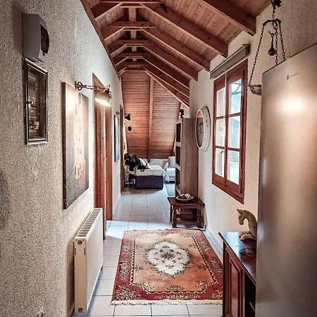 The Wooden Nest Apartment Arachova